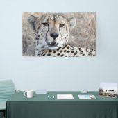 Cheetah Portrait Banner (Messeveranstaltung)