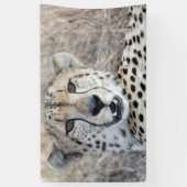 Cheetah Portrait Banner (Vertikal)