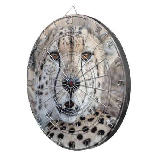 Cheetah Portrait Dartscheibe (Vorderseite rechts)