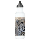 Cheetah Portrait Edelstahlflasche (Links)