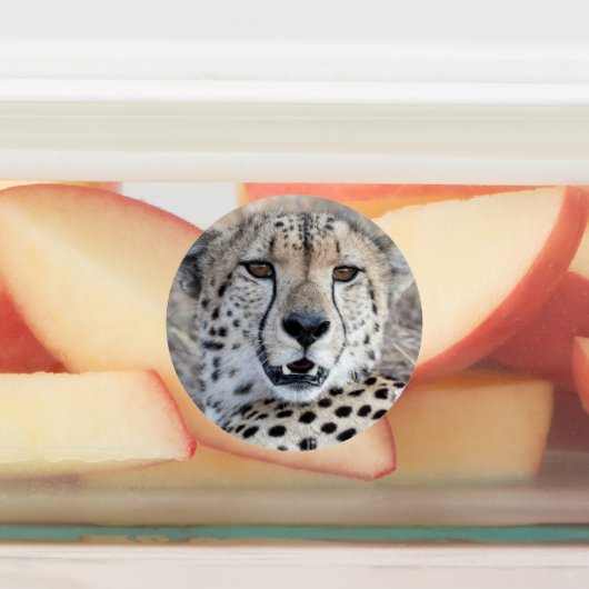 Cheetah Portrait Etiketten (Befestigt)