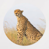 Cheetah Portrait Etiketten (Design 1)