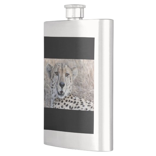 Cheetah Portrait Flachmann (Links)