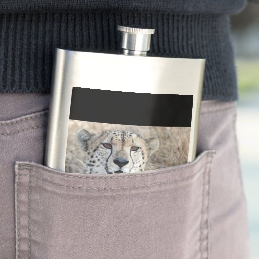 Cheetah Portrait Flachmann (Beispiel)