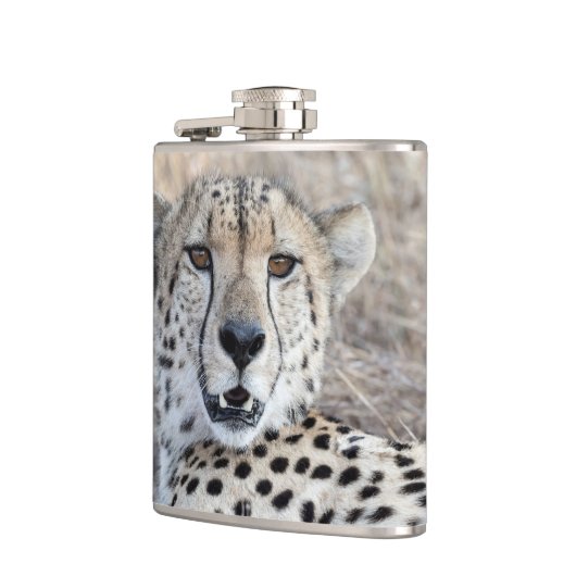 Cheetah Portrait Flachmann (Links)