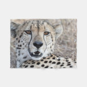 Cheetah Portrait Fleecedecke (Vorderseite (Horizontal))