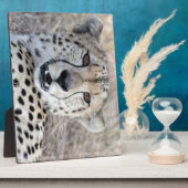 Cheetah Portrait Fotoplatte (Seite)