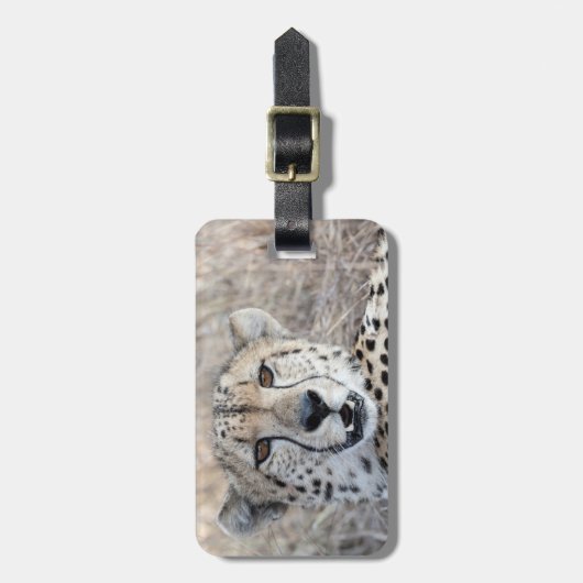 Cheetah Portrait Gepäckanhänger (Vorderseite vertikal)