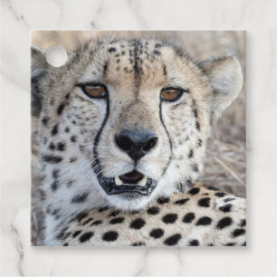 Cheetah Portrait Geschenkanhänger