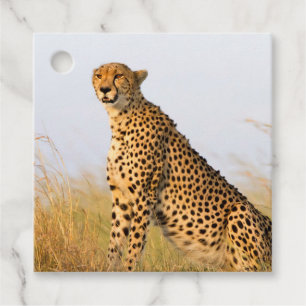 Cheetah Portrait Geschenkanhänger