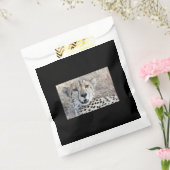 Cheetah Portrait Geschenktütchen (Versiegelt)