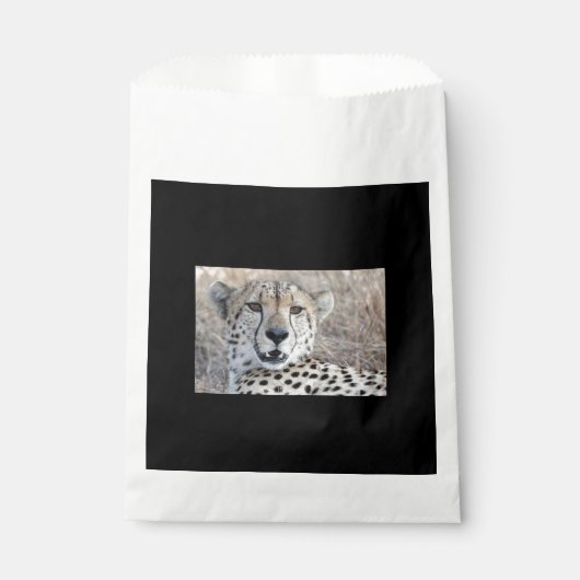 Cheetah Portrait Geschenktütchen (Vorderseite)