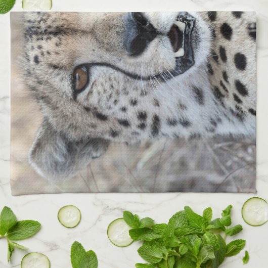 Cheetah Portrait Geschirrtuch (Gefaltet)