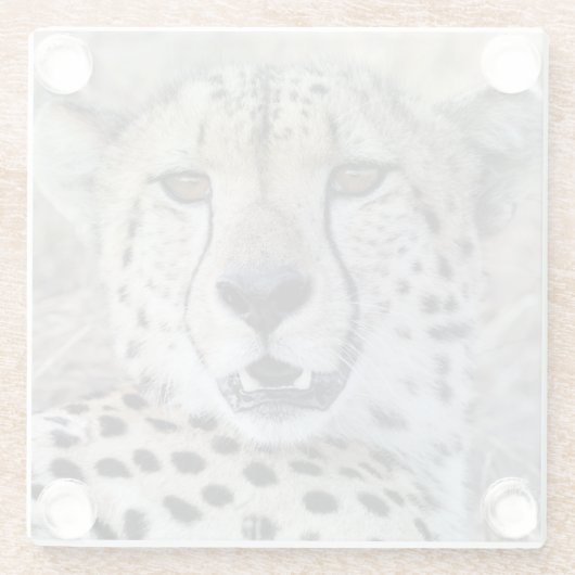 Cheetah Portrait Glasuntersetzer (Rückseite)