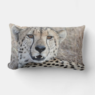 Cheetah Portrait Lendenkissen