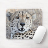 Cheetah Portrait Mousepad (Mit Mouse)