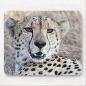 Cheetah Portrait Mousepad (Vorne)