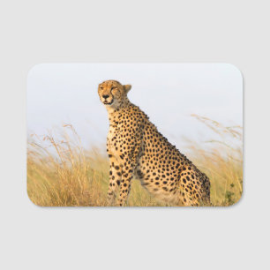 Cheetah Portrait Namensschild