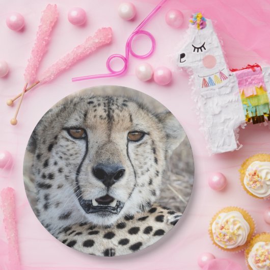 Cheetah Portrait Pappteller (Party)