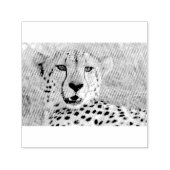 Cheetah Portrait Permastempel (Design)