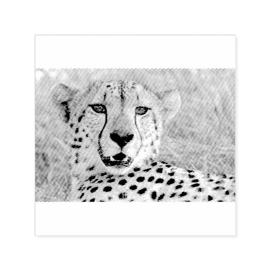 Cheetah Portrait Permastempel (Design)