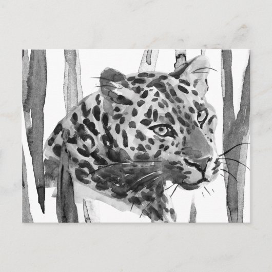 Cheetah Portrait Postkarte (Vorderseite)