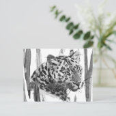 Cheetah Portrait Postkarte (Stehend Vorderseite)