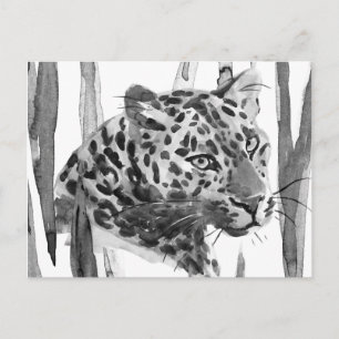 Cheetah Portrait Postkarte