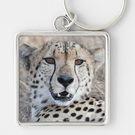 Cheetah Portrait Schlüsselanhänger (Vorne)
