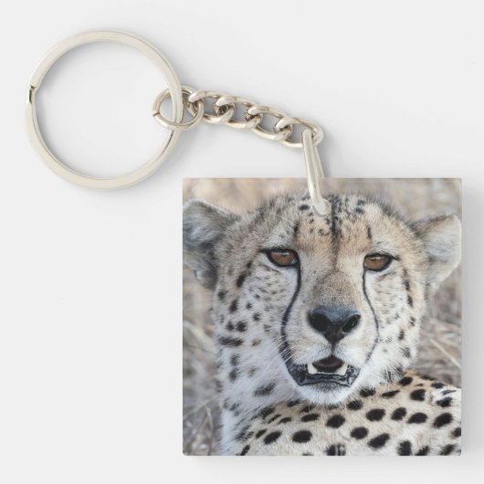 Cheetah Portrait Schlüsselanhänger (Vorderseite)
