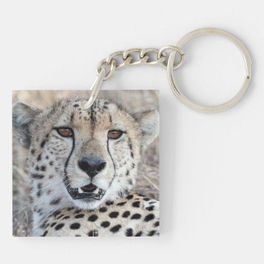 Cheetah Portrait Schlüsselanhänger (Rückseite)
