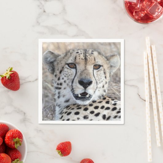 Cheetah Portrait Serviette (Beispiel)