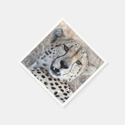 Cheetah Portrait Serviette (Ecke)