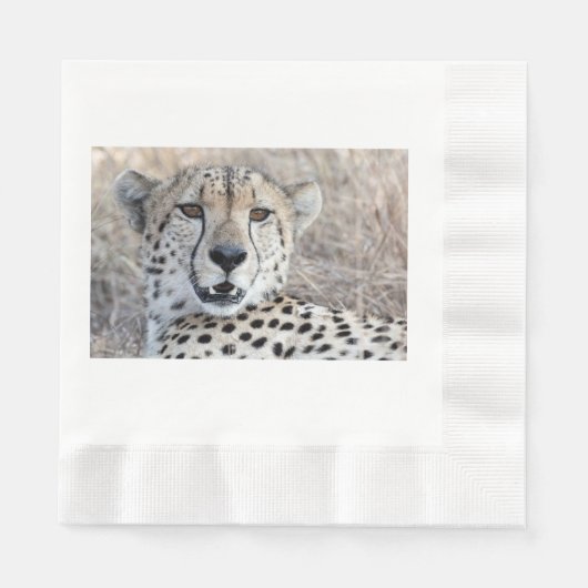 Cheetah Portrait Serviette (Vorderseite)