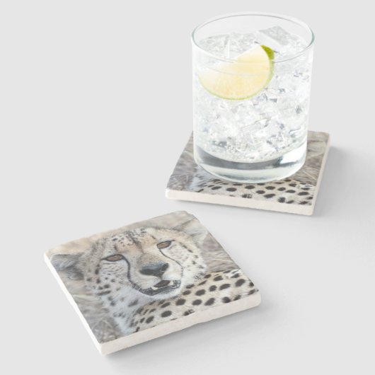 Cheetah Portrait Steinuntersetzer (Seitenansicht)