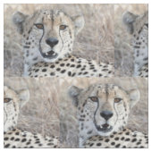 Cheetah Portrait Stoff (Nahaufnahme)