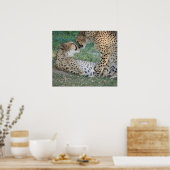 Cheetah Poster (Küche)