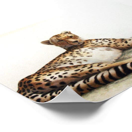 Cheetah Poster (Ecke)