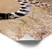 Cheetah Poster (Ecke)