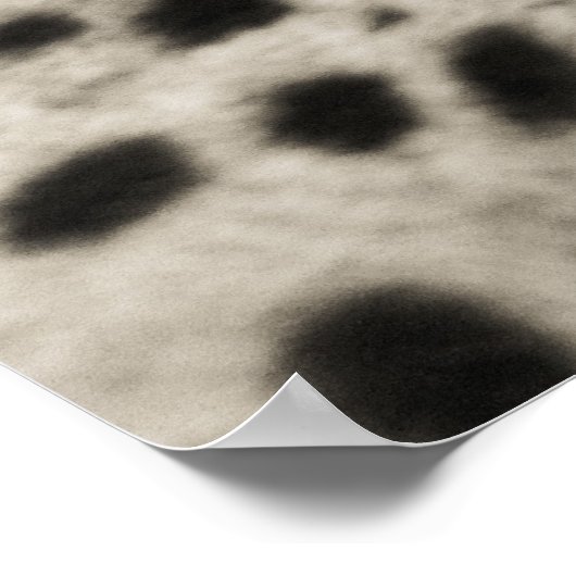 Cheetah Poster (Ecke)