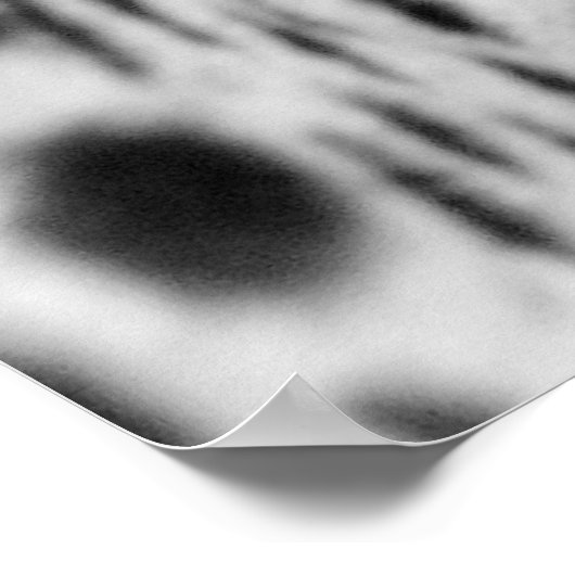 Cheetah Poster (Ecke)