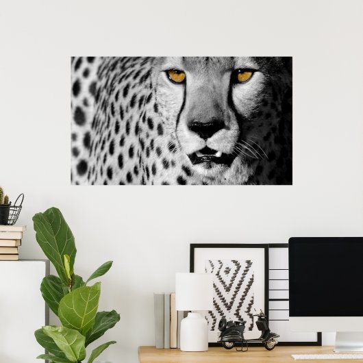 Cheetah Poster (Heimbüro)