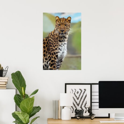 Cheetah Poster (Heimbüro)