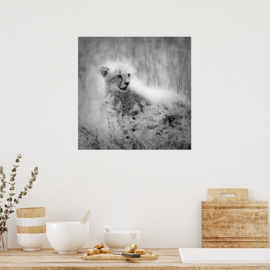 Cheetah Poster (Küche)