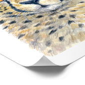 Cheetah Poster (Ecke)