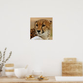 Cheetah Poster (Küche)