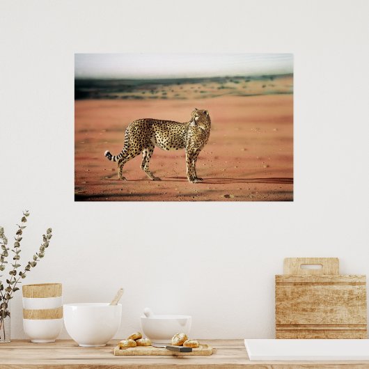 Cheetah Poster (Küche)