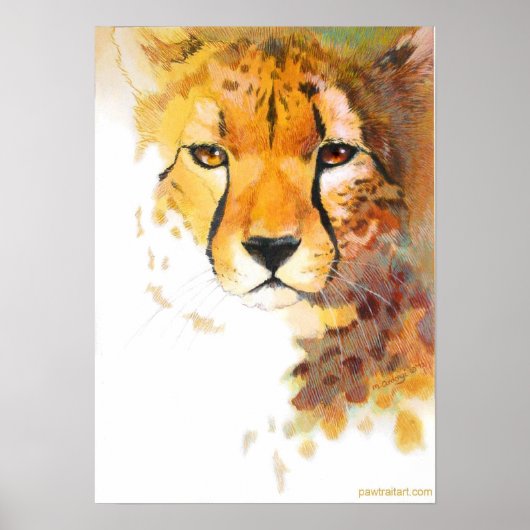 Cheetah! Poster (Vorne)