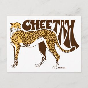 Cheetah Postkarte