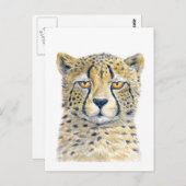 Cheetah Postkarte (Vorne/Hinten)
